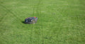 Husqvarna Automower Flawless Green Carpet Grass Maintenance Result