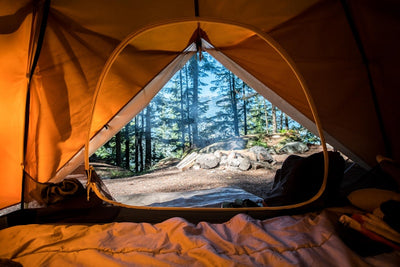 4-person waterproof camping tent set up in forest