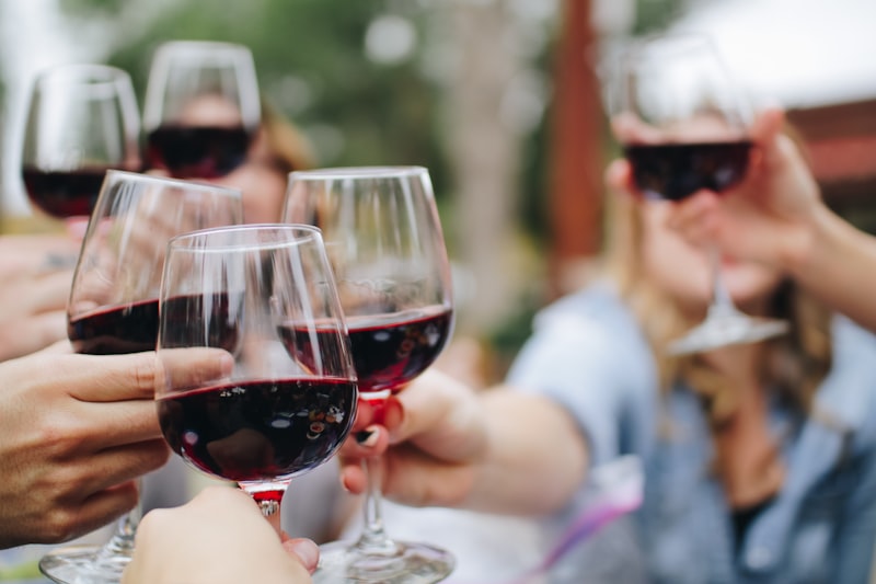 VinoPro Electric Wine Aerator & Dispenser