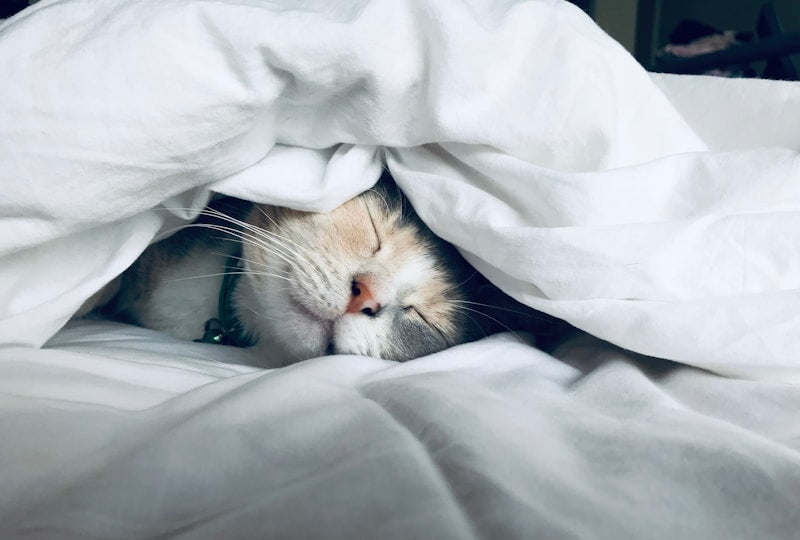 Premium weighted blanket on cozy bed for better sleep