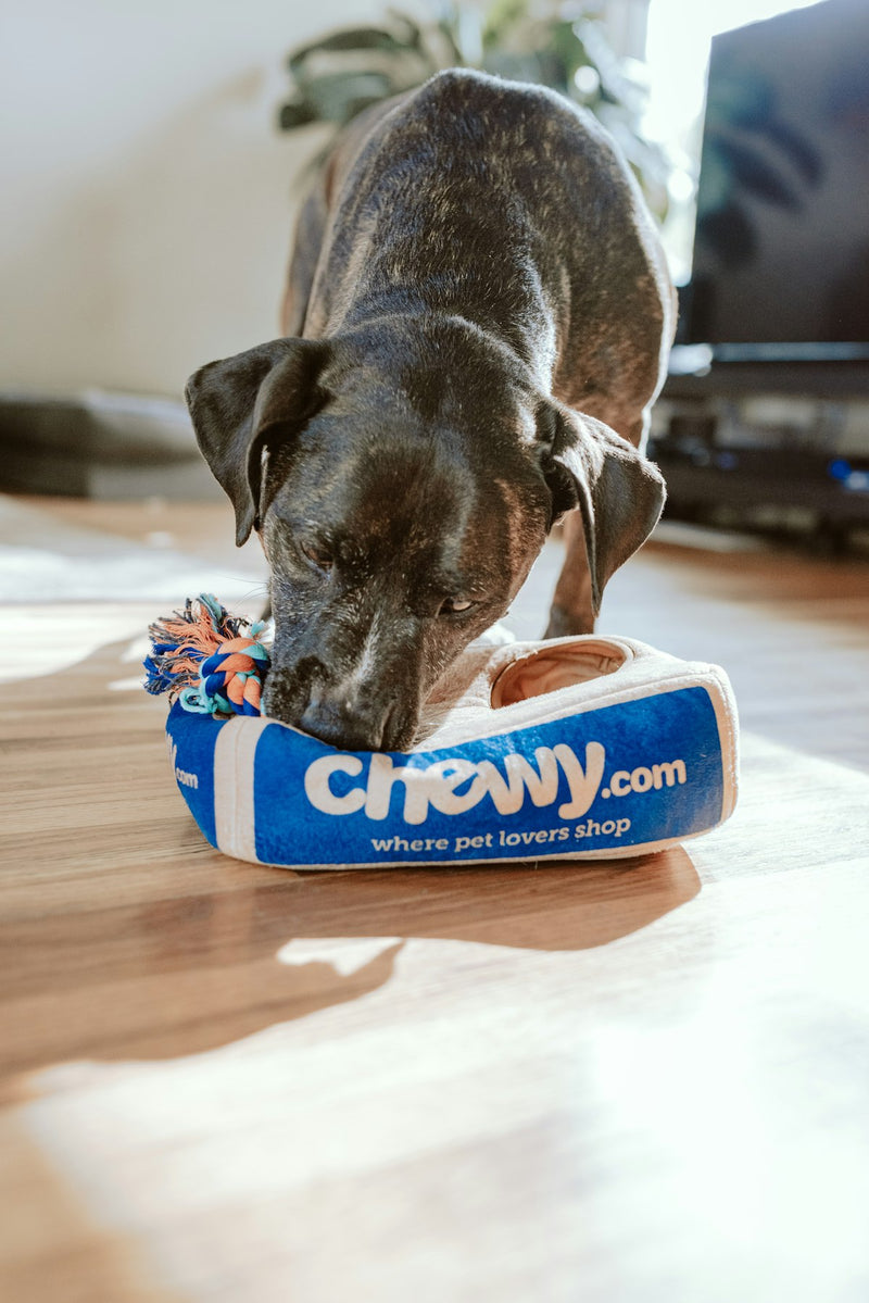 Smart automatic pet feeder